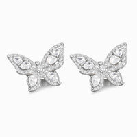 Halo Butterfly